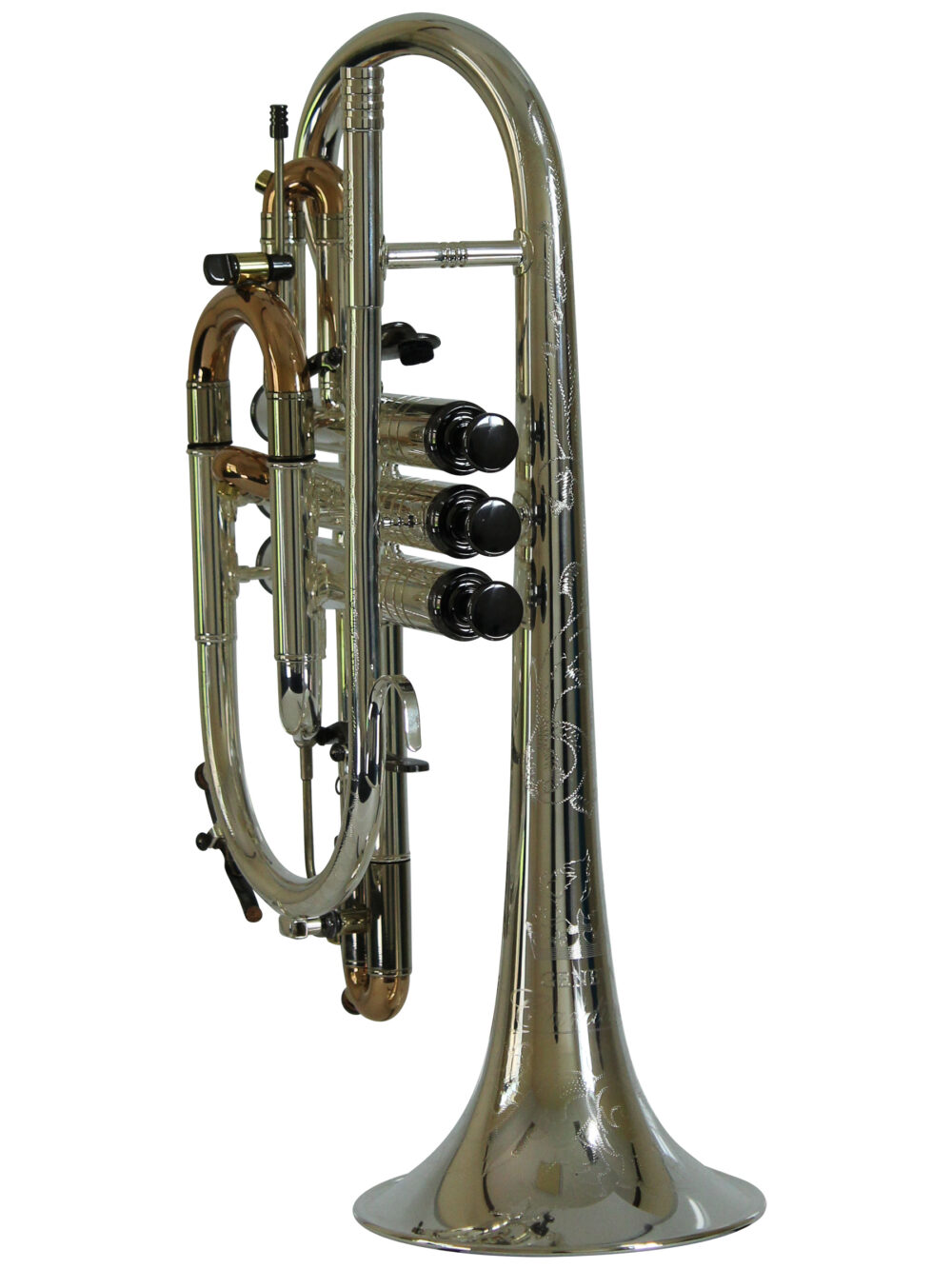 Bb Cornet - Geneva Cardinal - Image 4