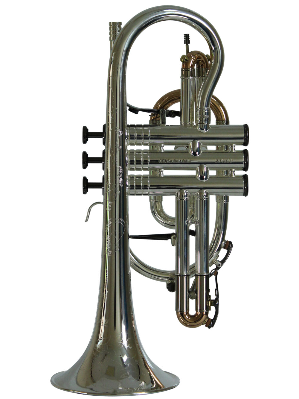 Bb Cornet - Geneva Cardinal - Image 2