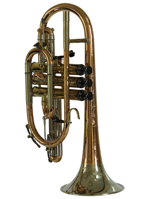Bb Cornet - Geneva Cardinal